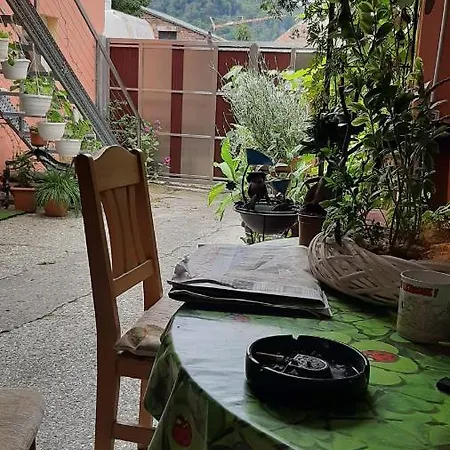 Pension Im Glueck Тале Экстерьер фото
